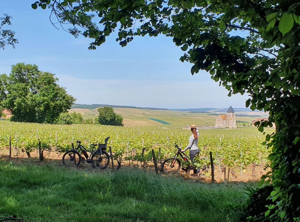 Vélo vignes panorama  Dégustation  accueil domaine verticale