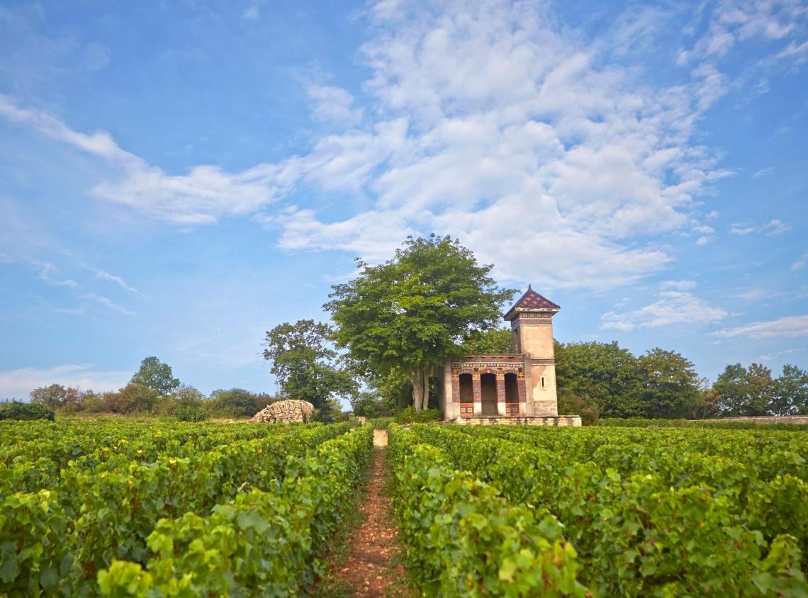 Domaine Boyer-Martenot Yves, french Viticulteur in MEURSAULT - Bourgogne  wines