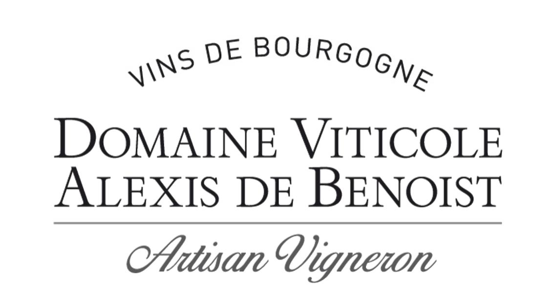logo2b2g-mini-grey-retaille bandeau-2b2g-vins-bourgogne.fr(1100 × 350 px)