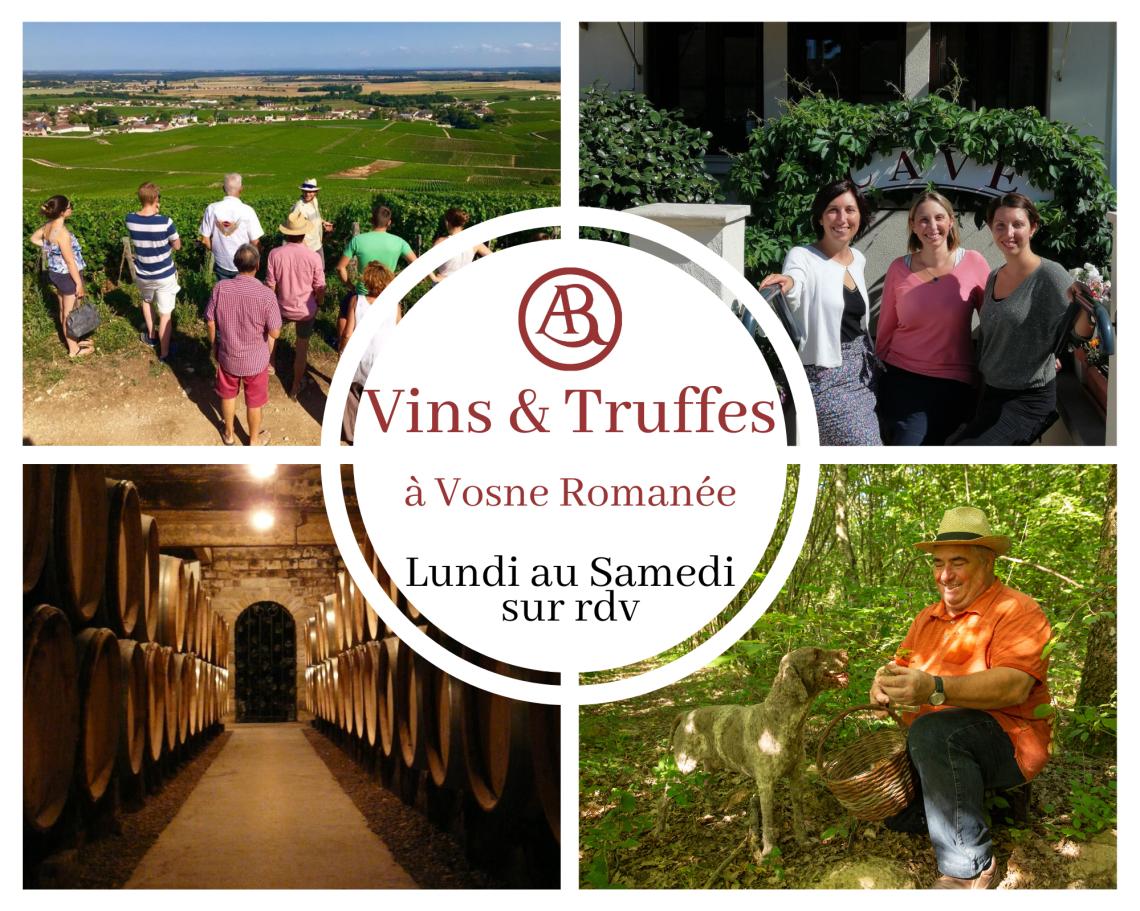 Visites-Oenotouristiques-Domaine-Rion-retaille famille-cave-by-camillo-2-retaille Nos vins - Famille Rion