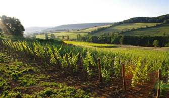 Domaine Aurélien Febvre Domaine Aurélien Febvre Domaine Aurélien Febvre