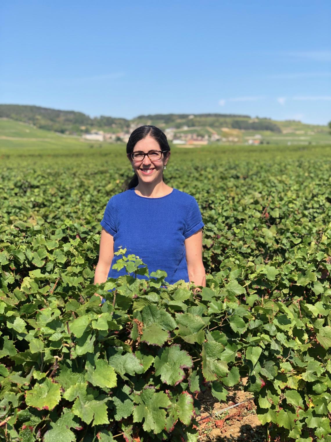 visuel-vigne-Domaine-du-Chancelier-retaille visuel-bouteille-Domaine-du-Chancelier-retaille visuel-fut-vinification-integrale-retaille