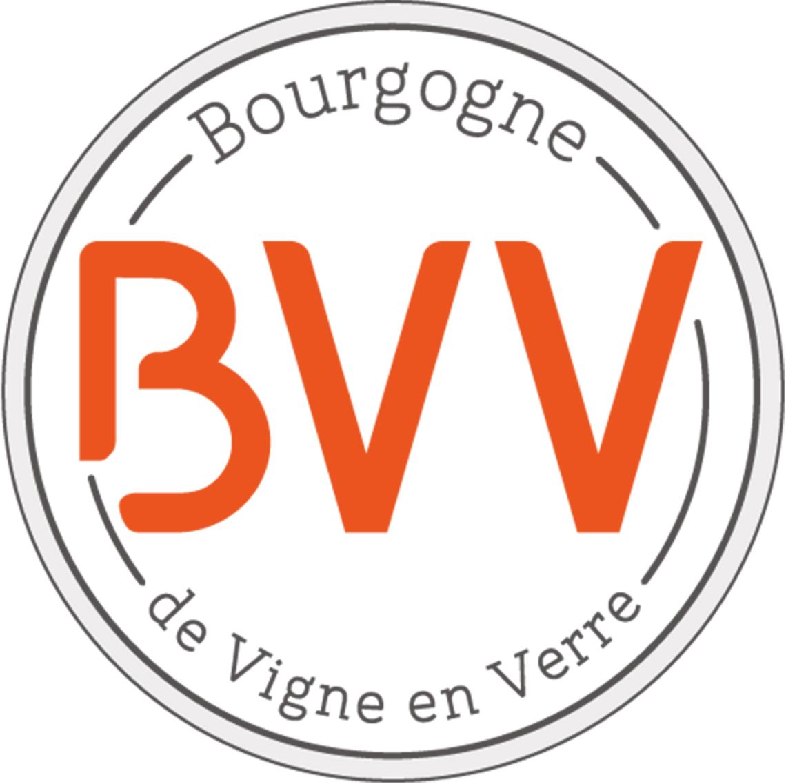 Logo-BVV_Version-20221 Bouchons_BVV1 Mosaique-Domaines-Bourgogne-de-Vigne-en-Verre