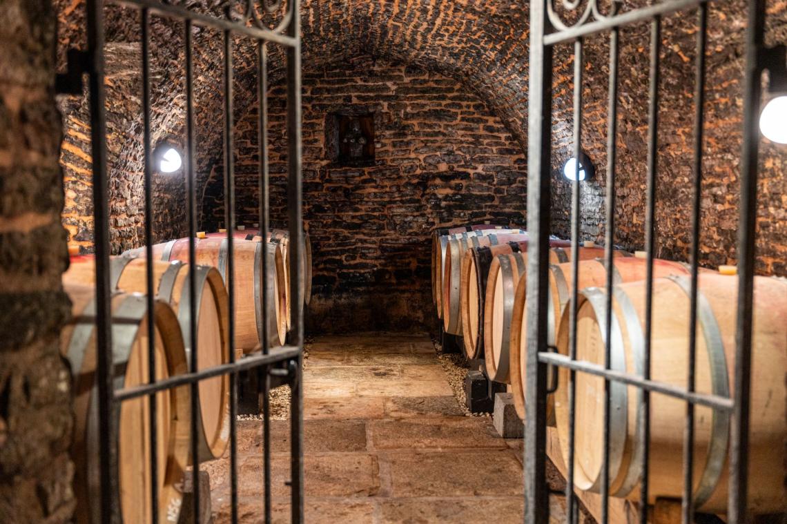 DJF cave2 DJF cavefrancois1 DJF laurent3 DJF laurentfrancois1 DJF tono1 DJFcheval2 DJFchevalfrancois1 DJFdomaine3 DJFvallon1 IMG_1110