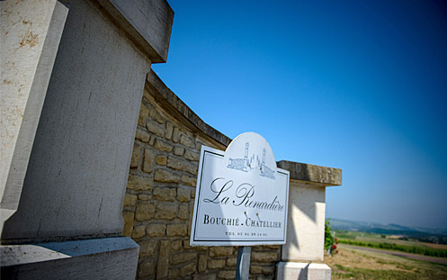 domaine-bouchie-chatellier-la-renardiere