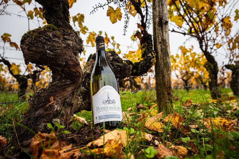 domaine-champeau-pouilly