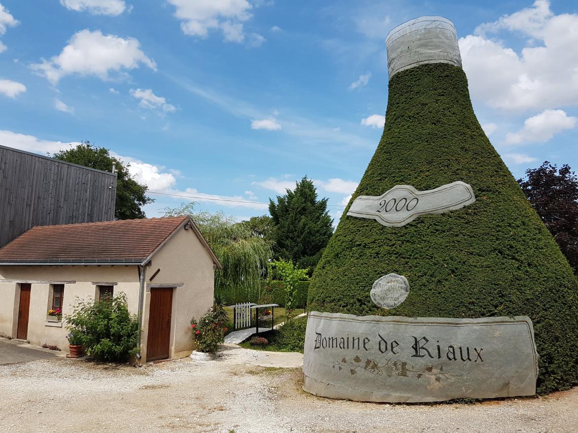 Arbe-bouteille-2