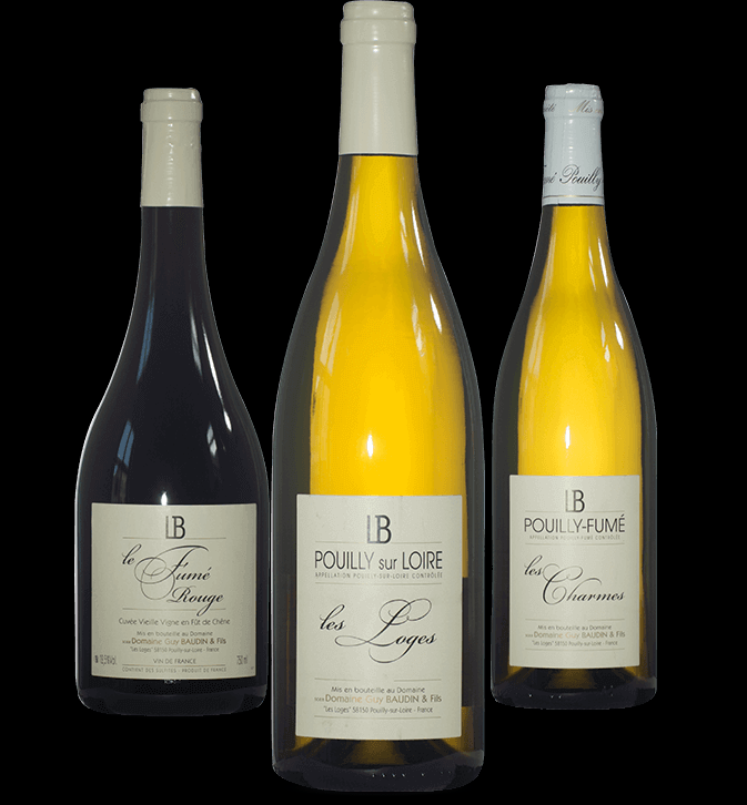 baudin bouteilles