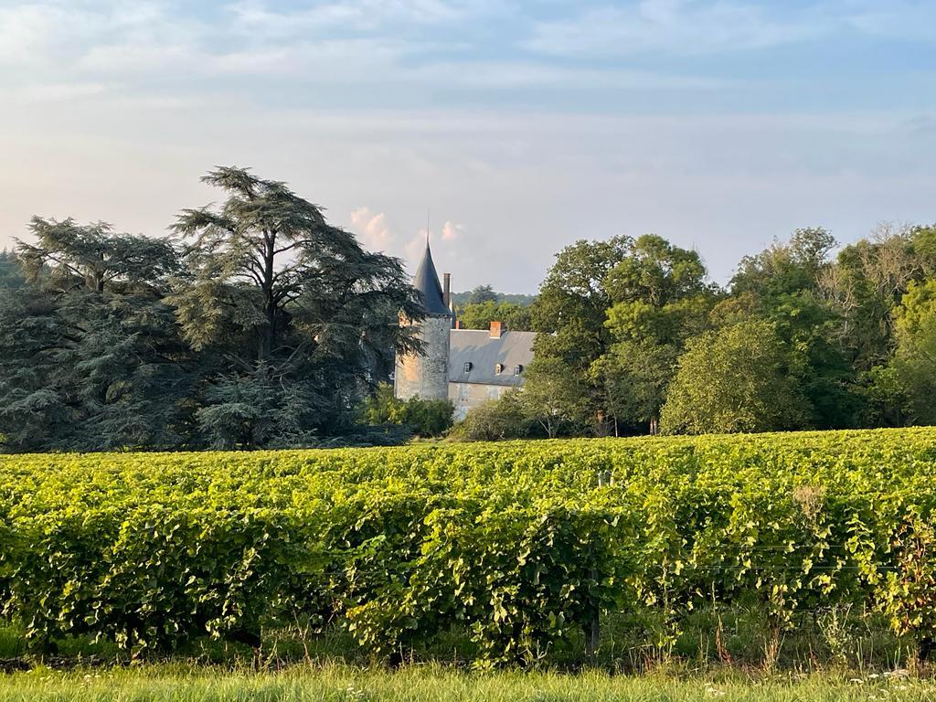 chateau les cêdres