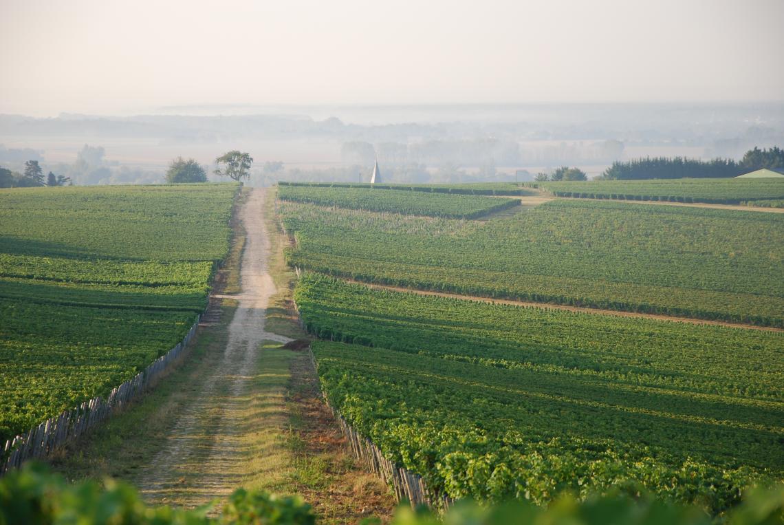 Saget La Perrière - Pouilly sur Loire