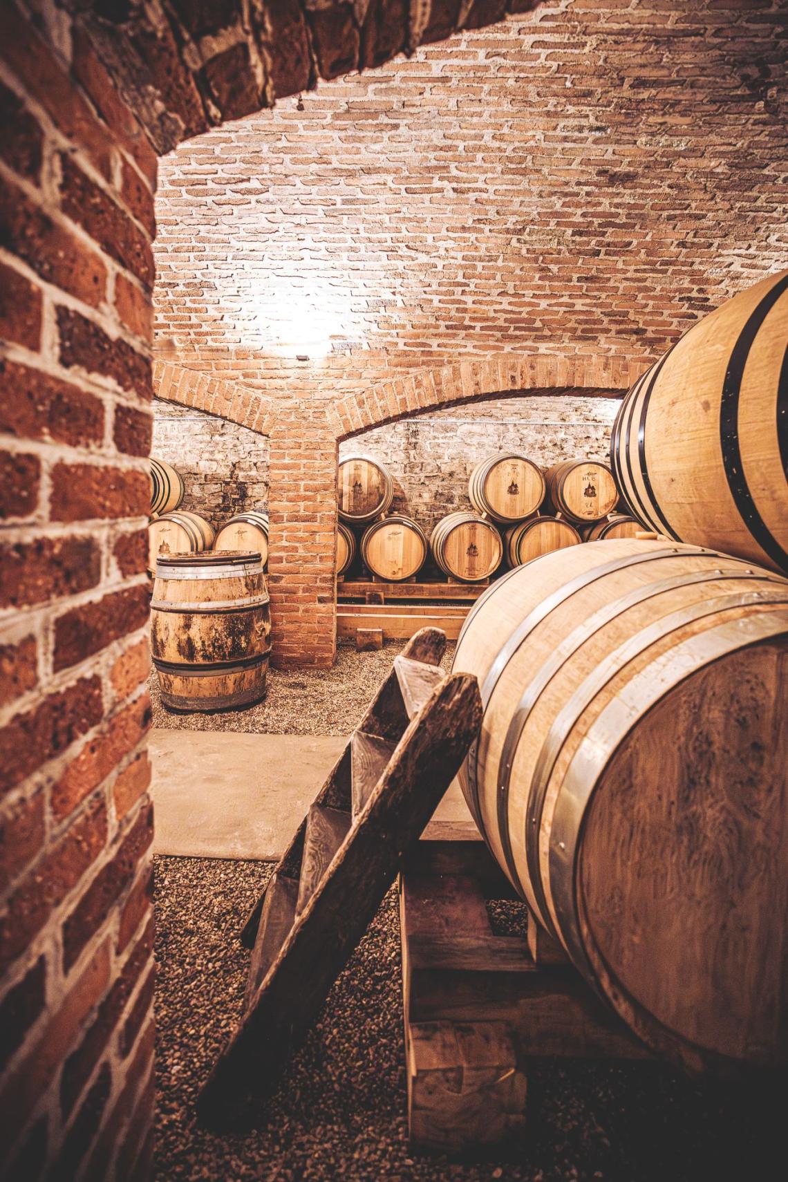 albert-morot-caveCphoto-terroir (3)