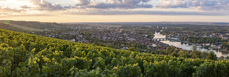 Bourgogne Côte Saint-Jacques Bourgogne Côte Saint-Jacques