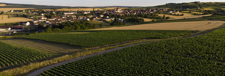 Bourgogne Coulanges-La-Vineuse Bourgogne Coulanges-La-Vineuse