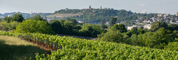 Bourgogne Montrecul Bourgogne Montrecul