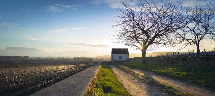 USA : Escape to Bourgogne