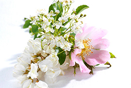 ® BIVB / IMAGE & ASSOCIES The aromas of the floral family