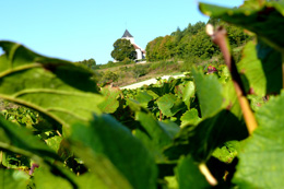 Wine-growing region of the Châtillonnais © BIVB / SUCHAUT C