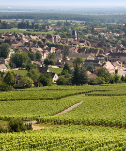 Oenotourisme dans le village de Buxy  © BIVB / ARMELLEPHOTOGRAPHE