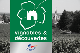 © BIVB / ARMELLEPHOTOGRAPHE.COM Vignobles et Découvertes