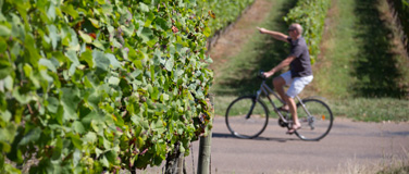 La Grande Route des Vins