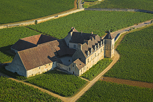 The Clos de Vougeot