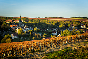 Chablis, the green gold of the Bourgogne region