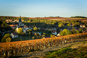 Panorama de la ville de Chablis