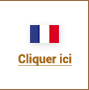 Elearning des Vins de Bourgogne - version en ligne sur internet en français