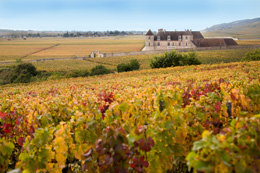 © BIVB / ARM Landscape in the region of the Côte de Nuits: Clos Vougeot