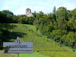 © SUCHAUT C Landscape in the wine growing region of the Chatillonnais.