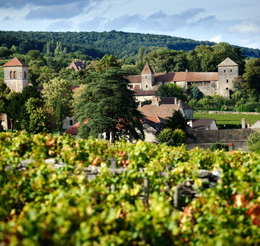 © BIVB / JOLY M. Landscape in the wine growing region of the Côte de Nuits.