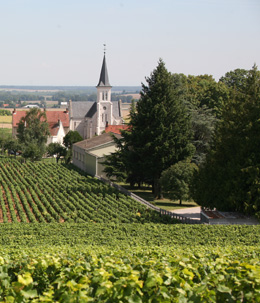 © BIVB / ARM.COM  Landscape in the wine growing region of the Côte de Nuits.