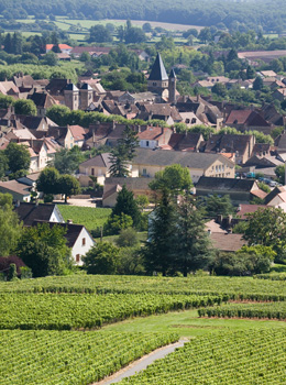 © BIVB / ARM.COM Landscape in the wine growing region of the Côte de Chalonnaise