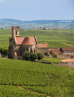 © BIVB / ARM.COM  Landscape in the wine growing region of the Mâconnais.