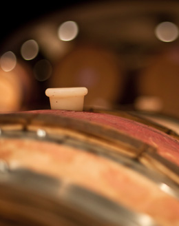 © BIVB / IBANEZ A Barrel cellar in Bourgogne.