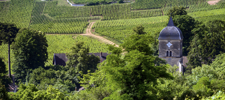 Chambolle-Musigny
