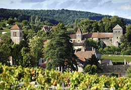 Gevrey-Chambertin 