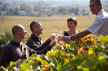 Tasting in the vines © BIVB / ARMELLEPHOTOGRAPHE.COM