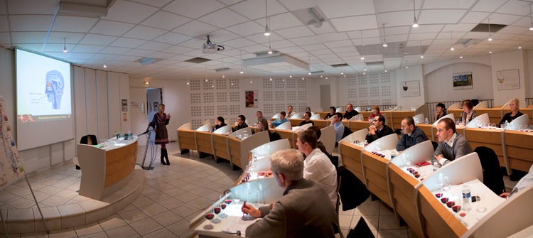 © BIVB / JOLY M Tutored wine tasting in our tasting rooms