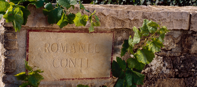 © BIVB / GADENNE D Visits to prestigious vineyards 