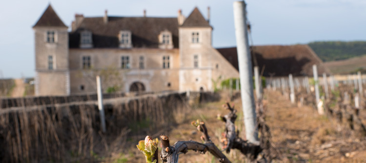 © BIVB / JOLY M Guided visits of Château du Clos de Vougeot