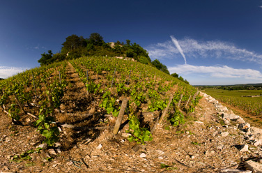 The Côte Chalonnaise and the Couchois : 