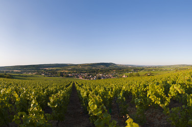 The Côte de Beaune and the Hautes Côtes 