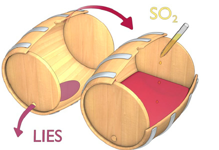 Bourgogne wines - Racking / Sulphiting