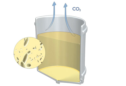 Bourgogne wines - Malolactic Fermentation