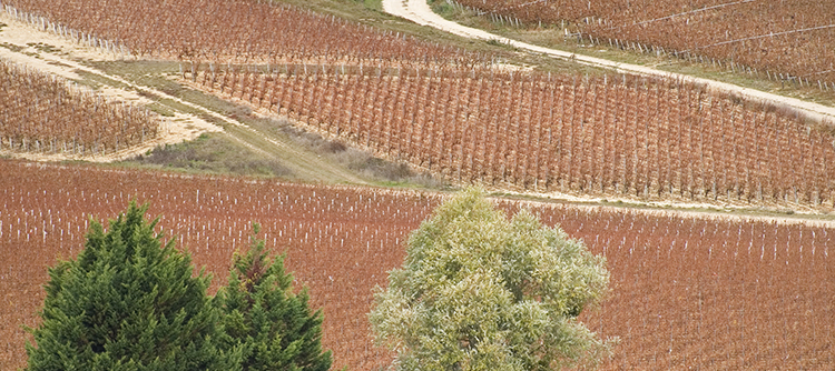 Winter in Bourgogne