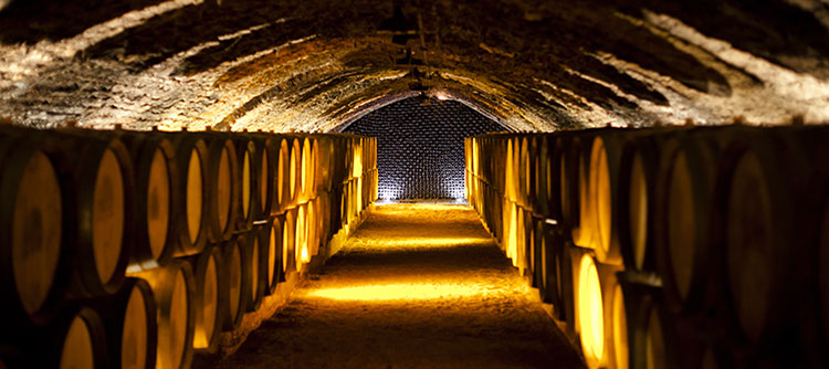 The 2014 vintage in Bourgogne