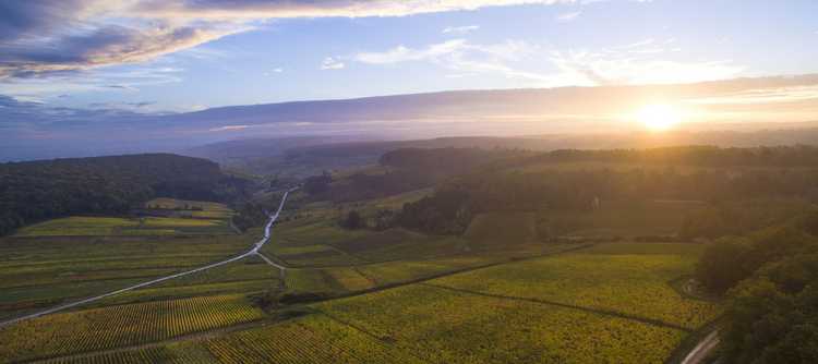 Double good news for Bourgogne wines