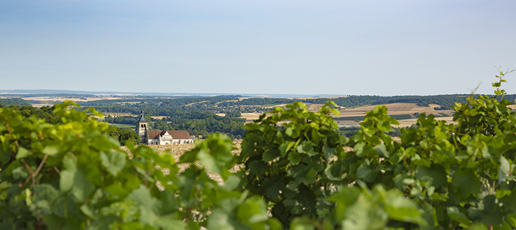 Vignobles & découvertes, wine tourism in Bourgogne 2018 © BIVB / Aurélien IBANEZ