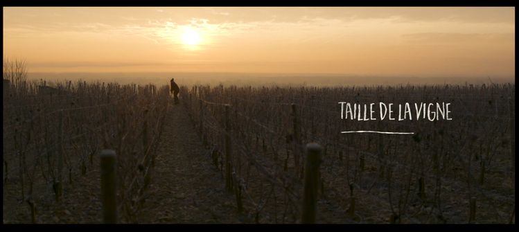 Winegrowing in Bourgogne, an artisanal trade : The People and the Vines